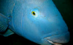 paulsguesthse23042010003004.jpg